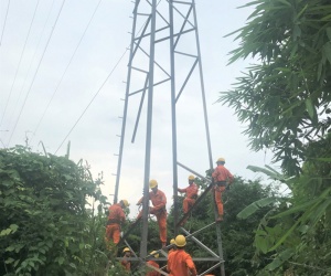 Điều tra vụ phá hoại công trình lưới điện quốc gia tại Quảng Trị