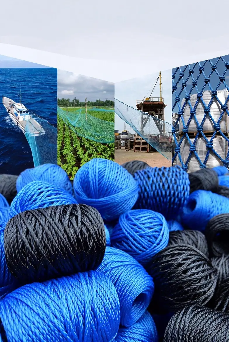Thế giới sàn gỗ cao cấp
